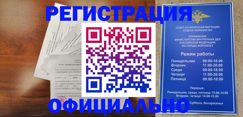 прописка поиск в Ржеве